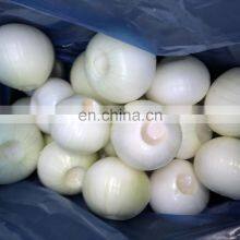 Year Round European Standard Harvest 2019 Skin Off Yellow Whole Round Fresh Onions From China thumbnail-5