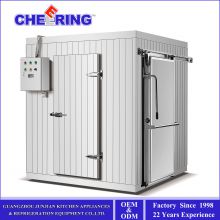 Vacuum Foaming Walk-in Cold Room Supply for Food