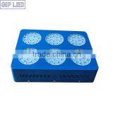 Grow Lights for Indoor Plants thumbnail-1