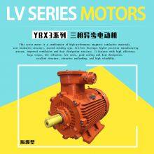 ATEX-Certified Flameproof Three-Phase Asynchronous AC Motor thumbnail-3