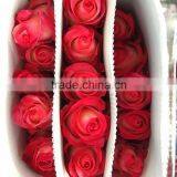 Newest Best Selling Multi-colored Fresh Cut Rose Flowers thumbnail-2