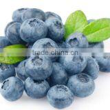 Blueberry Sorting Machine /strawberry Sorting Machine