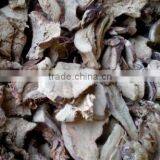 Galangal, Slice Dried Galangal From Indonesia is the Best thumbnail-5
