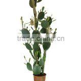Artificial Cactus 1437