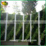 Outdoor Decorative Artificial Plants Green Wall Green Grass Decor thumbnail-2