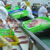 Customized Food Grade Flat Belt Conveyor for Meat Processing thumbnail-1