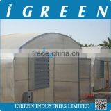 Single Tunnel Polycarbonate Sheet Vegetable Greenhouse From CHINA thumbnail-3
