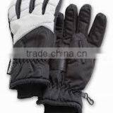 Ski Winter Gloves