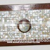 Mother Of Pearl Unique Handle Door