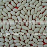 Blanched peanut kernels 2012 crop