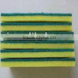 Sponge Scourer thumbnail-1