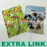 Plastic Zippered and Fastener Bags