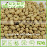 Seaweed Flavor Coated, Roasted Sunflower Kernel Nuts thumbnail-1