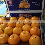 New Year 2017 Special Offer - Mandarin 2017 Fresh Sweet Juicy & Delicious thumbnail-1