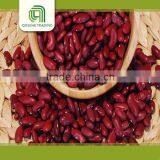 Canned Red Kidney Beans in Brine Pulse thumbnail-2