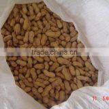 Peanut in Shell Supply All the Round thumbnail-1