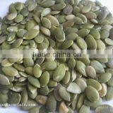 HACCP & ISO Roasted and Salted Pumpkin Seeds Kernel