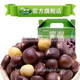 Hot Sale Top Quality Chinese Fresh Chestnuts, Sweet and Easy Peeling thumbnail-3