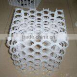 BC Series Plastic Chicken Egg Tray /poultry Egg Tray