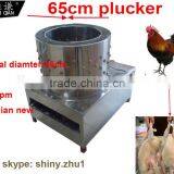 Cheap Price Used Poultry Plucker a WQ-65 Chicken Plucker for Sale thumbnail-1