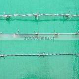 Razor Barbed Wire/Galvanied Razor Barbed Wire Fence/Razor Barbed Wire Fencing Wholesale(Factory) thumbnail-1