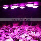 540W COB LED Grow Light for Greenhouse Hydroponics Greenhouse Ideal to Replace the 1000W HPS HID thumbnail-6