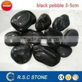 Black High Polished Pebble on Promotion thumbnail-1