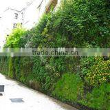 Artificial Eco-friendly Green Wall Fake Grass Wall for Home Decor thumbnail-4