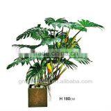 Home Decoration Plants Larger Green Pot 1.8m High GNW G158