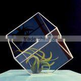 Geometric Stained Glass Planter Terrarium thumbnail-4