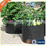 Greenhouse Or Garden Non Woven Felt Plant Grow Bags thumbnail-2