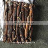 Export to Thailand Frozen Illex Squid thumbnail-1