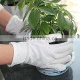 Breathable Cotton Gloves thumbnail-6