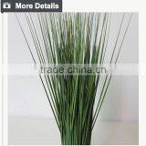 Hotsales Natural Cylinder Onion Grass for Garden Decoraction thumbnail-4