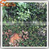 Wholesale Plastic Vertical Garden Green Wall Combination thumbnail-5
