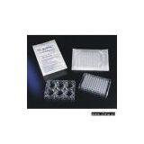 Sell Tissue Culture Plates thumbnail-1