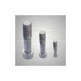 American Standard stainless steel hex bolts supplied
