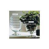 Glass Pot ( Home Decoration , Glassware ) GG09069 thumbnail-1