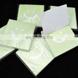 Cute Self-adhesive Sticky Notes