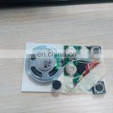 High Quality Small Voice Recorders for Cards Chip ic thumbnail-6