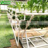 Hydroponic Lettuce Gutter Systems thumbnail-5