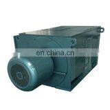 HV 6kv 10kv Best Selling Three Phase Hot Sale ac Electric Induction Motor Price thumbnail-5