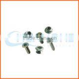 China Supplier Anti-theft Screws thumbnail-2