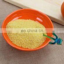 Wholesales Restaurant Used Plastic Melamine Ramen Bowl thumbnail-3