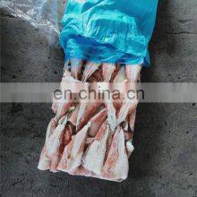 Frozen Squid Tip Giant Squid Tail Indian Ocean Squid Tip thumbnail-3
