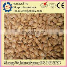 Hot Sale Almond Nut Shelling Machine Green Almond Peeling Machine thumbnail-5