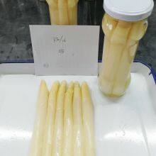 canned white asparagus