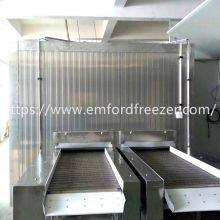 Mesh Belt Tunnel Freezer for Shrimp, Poultry, Meat, Pastry, Pasta, French Fries thumbnail-4