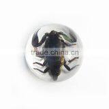 Promotional Gifts Clear Semicircle Crystal Desktop Ornament thumbnail-3