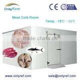 Blast Freezer for Fish Beef Meat Chicken